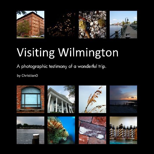 View Visiting Wilmington by Borghal