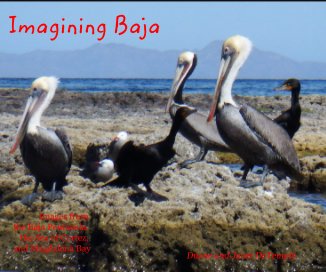 Imagining Baja book cover