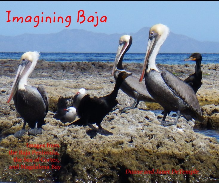 View Imagining Baja by Duane and Janet DeTemple