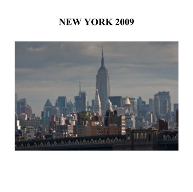 New York 2009 book cover