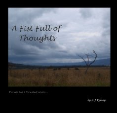 A Fist Full of Thoughts book cover