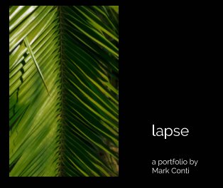 lapse book cover