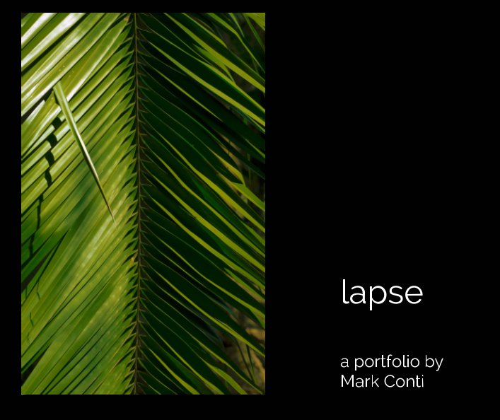 View lapse by Mark Conti
