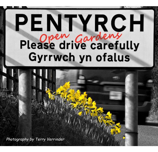 View Pentyrch Open Gardens by Terry Verrinder