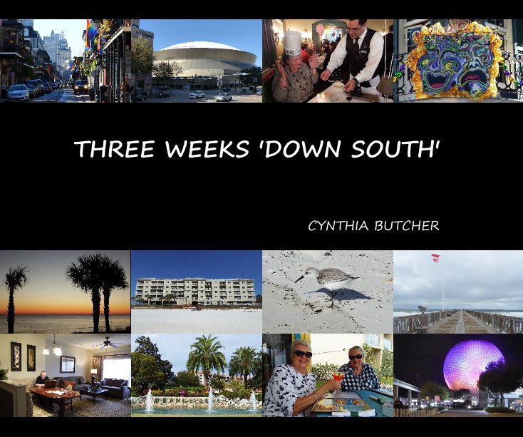 Visualizza THREE WEEKS 'DOWN SOUTH' di CYNTHIA BUTCHER
