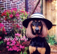 Sylly Sylvia book cover