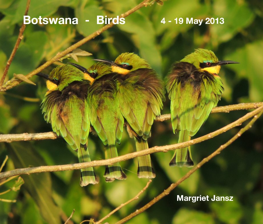 Ver Botswana - Birds por Margriet Jansz