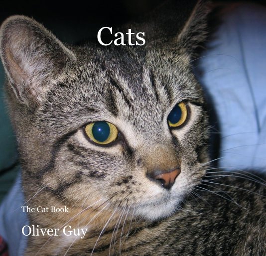 View Cats by Oliver Guy
