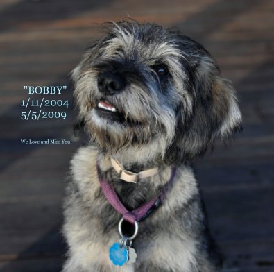 "BOBBY" 1/11/2004 5/5/2009 book cover