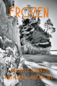Frozen book cover