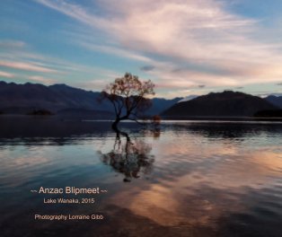Anzac Blipmeet book cover