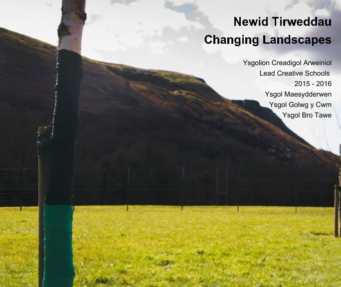 Newid Tirweddau - Changing Landscapes nach Eleanor Flaherty anzeigen