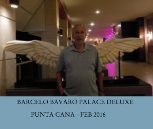 BARCELO BAVARO PALACE DELUXE book cover