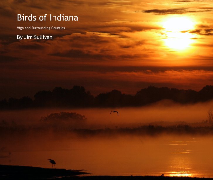 View Birds of Indiana by Jim Sullivan