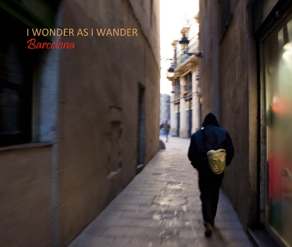 View I WONDER AS I WANDER Barcelona by Laura Lees