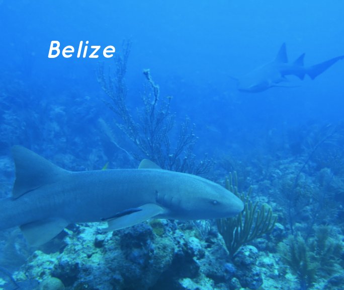 Bekijk Belize 2016 op Carol Ross Barney