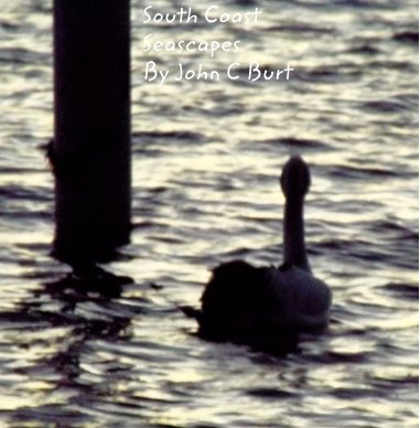 South Coast Seascapes book cover