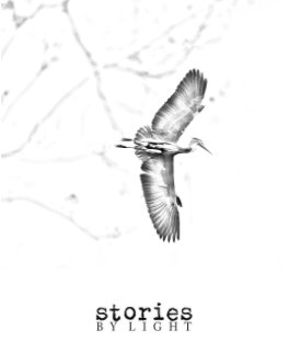 Stories By Light book cover