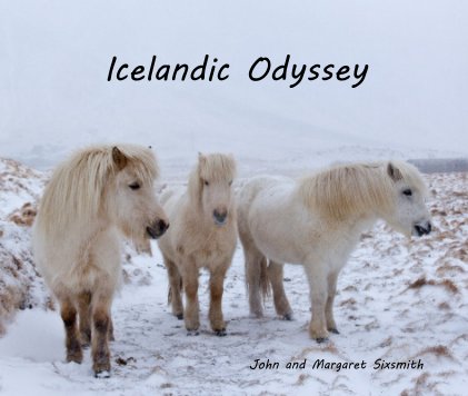 Icelandic Odyssey book cover