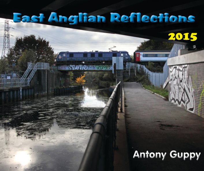 View East Anglian Reflections 2015 by Antony Guppy