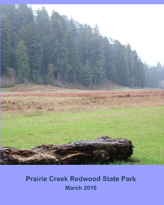Ver Prairie Creek Redwood State Park por Lynn Paiyou