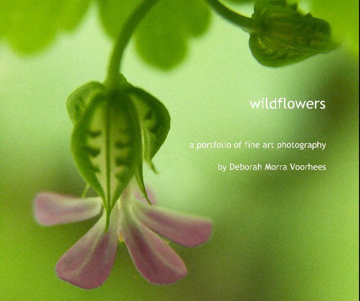 View wildflowers by Deborah Morra Voorhees