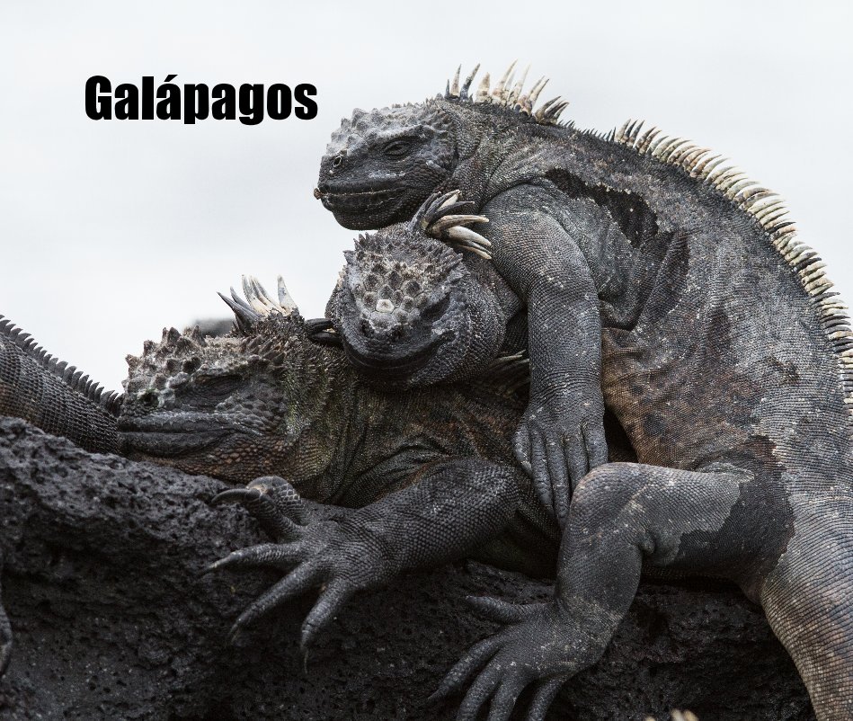 Ver Galápagos por Cassio Lopes & Alessandra Santos