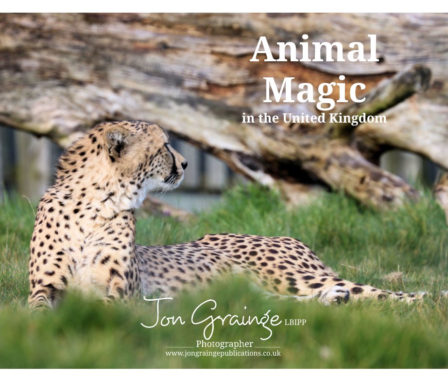 View Animal Magic in the United Kingdom by Jon Grainge
