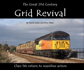 The Great 21st Century Grid Revival book cover