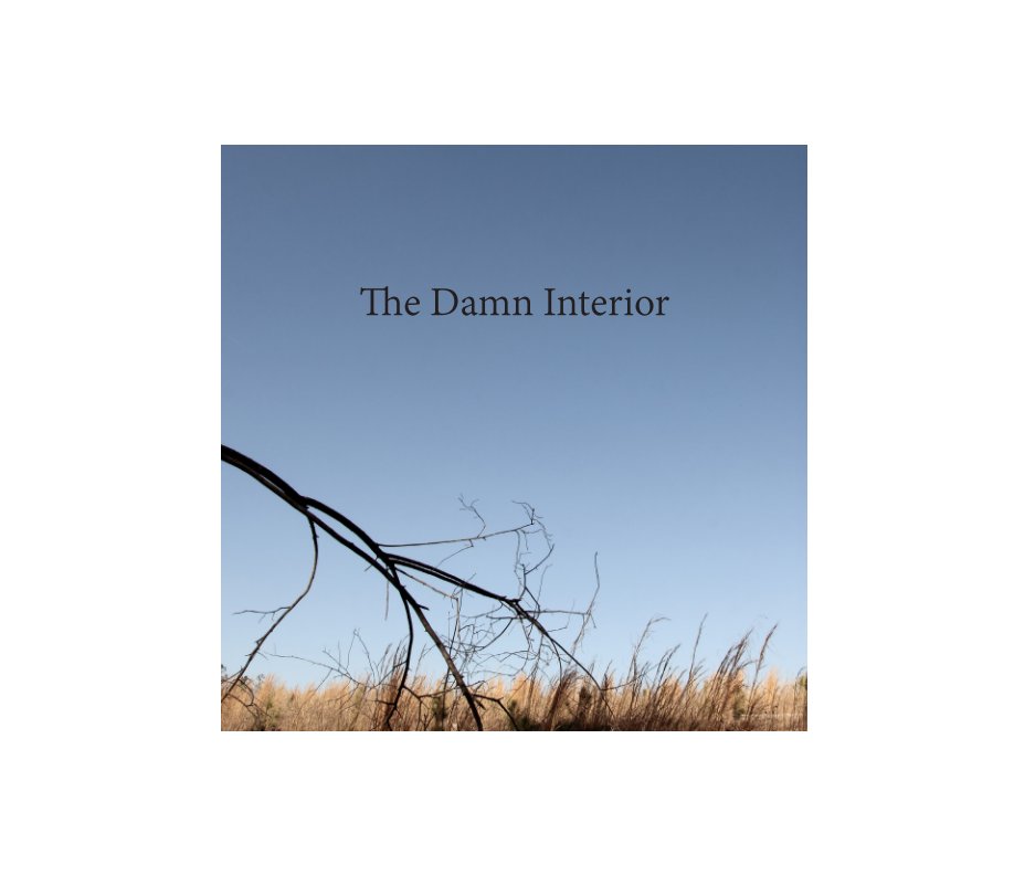 View The Damn Interior by David Foster