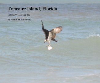 Treasure Island, Florida 2016 book cover