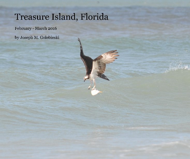 View Treasure Island, Florida 2016 by Joseph M. Golebieski