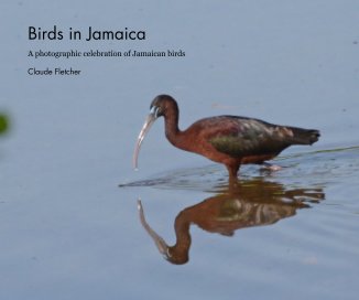 Birds in Jamaica book cover