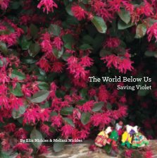 The World Below Us book cover
