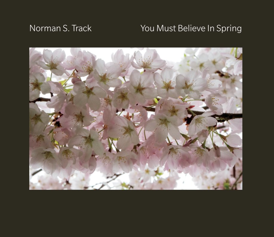 Ver You Must Believe In Spring por Norman S. Track