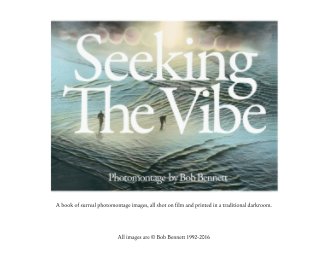 Seeking the Vibe book cover