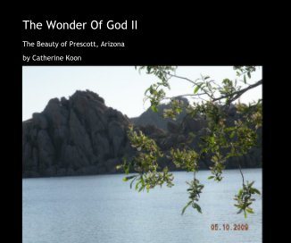The Wonder Of God II book cover