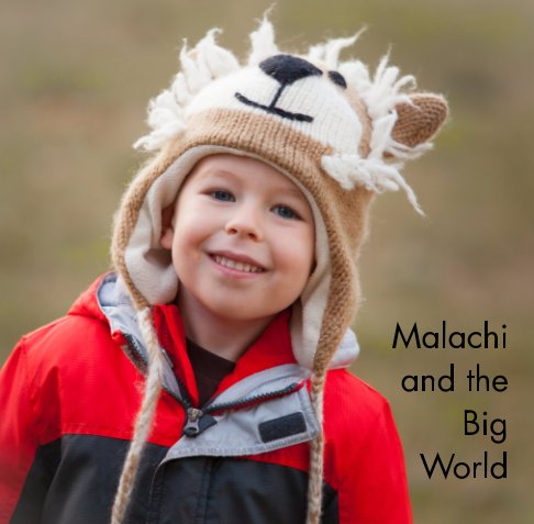 View Malachi and the Big World by Maureen J Skuban