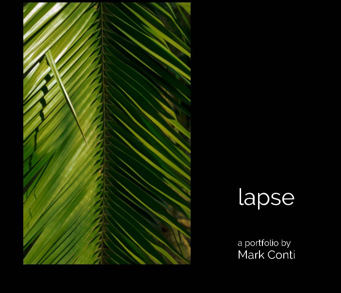 View lapse by Mark Conti
