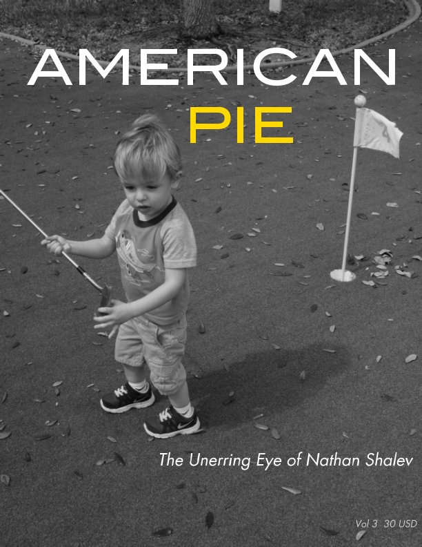View American Pie (Vol 3) by Jefree Shalev