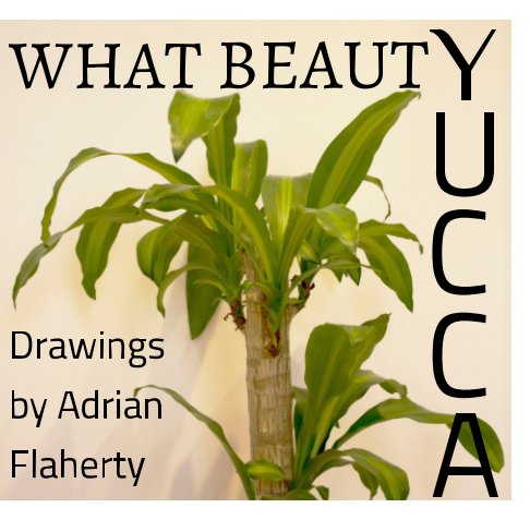 View What Beauty / Yucca by Adrian Flaherty