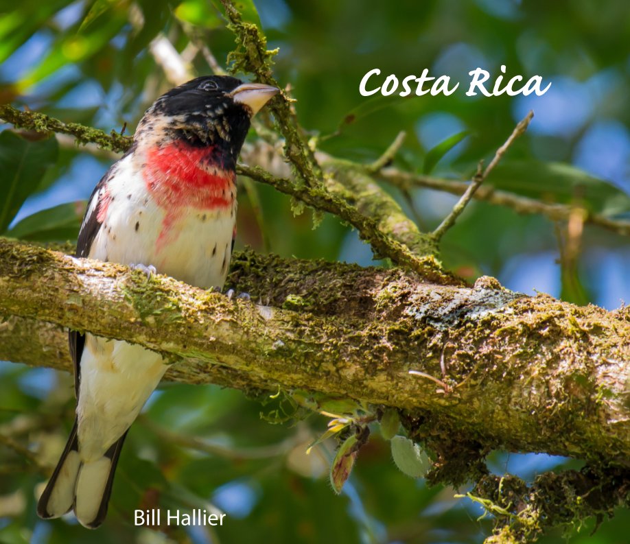 Ver Costa Rica por Bill Hallier