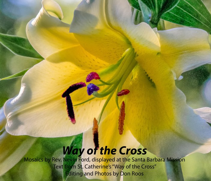 View Way of the Cross by Don Roos
