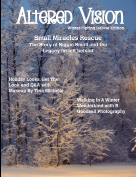 Altered Vision Magazine book cover