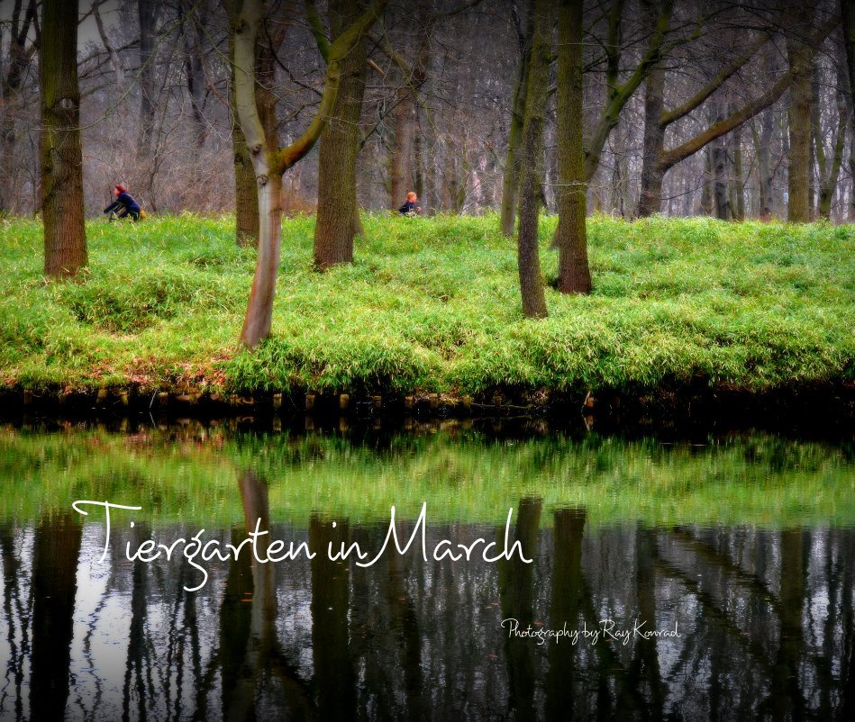 View Tiergarten in March by Ray Konrad