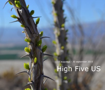 High Five US book cover