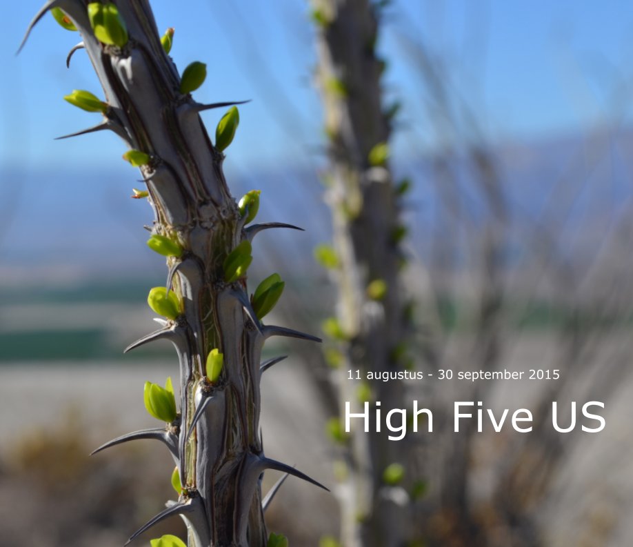 View High Five US by Jelle de Gruyter & Judica Velema
