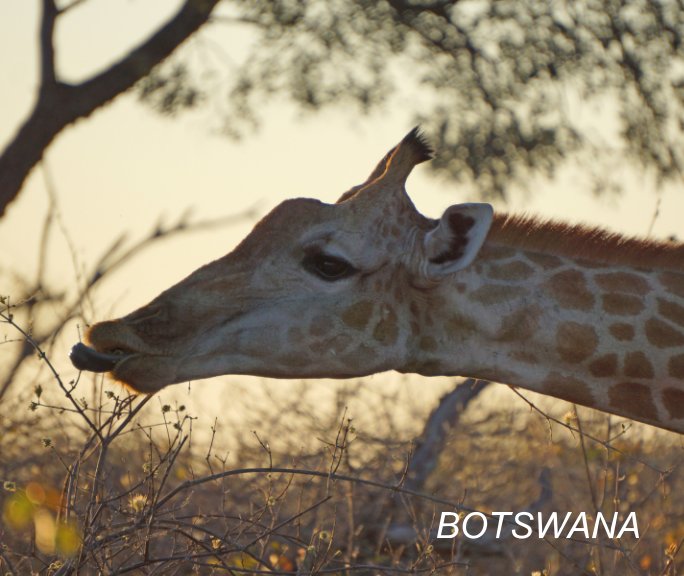 Ver Botswana por Carol Ross Barney