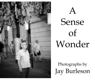 A Sense of Wonder book cover