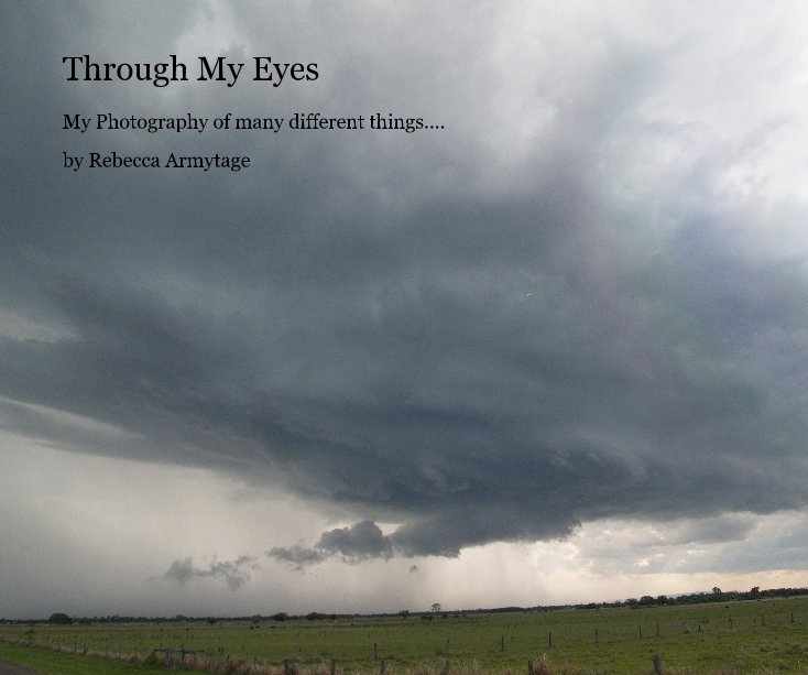 View Through My Eyes by Rebecca Armytage